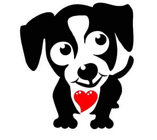 Riverđź’™SPONSORED ADOPTION breeder image 1