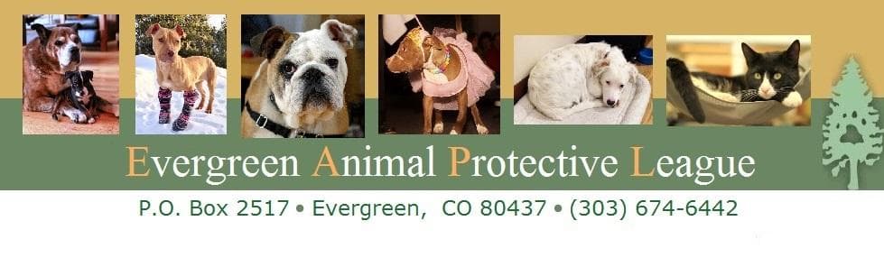 Liv Sponsored Adoption Fee breeder image 1