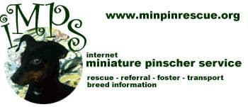 Winter breeder image 1
