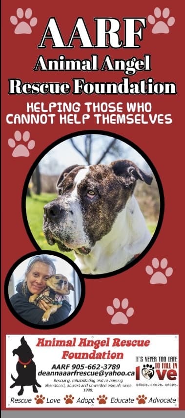 HOW CAN YOU HELP?? breeder image 3
