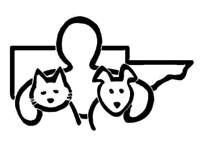 Q-Bee breeder image 5