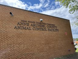 Anne Arundel County Animal Services
