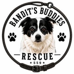 Bandit's Buddies Rescue