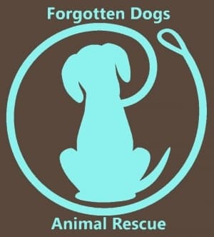 Kacey breeder image 1