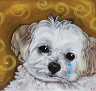 Remington breeder image 1