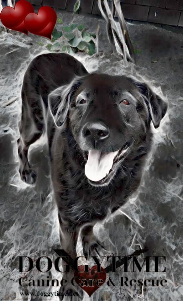 BRADLEY breeder image 1