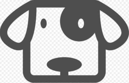 Georgie breeder image 2