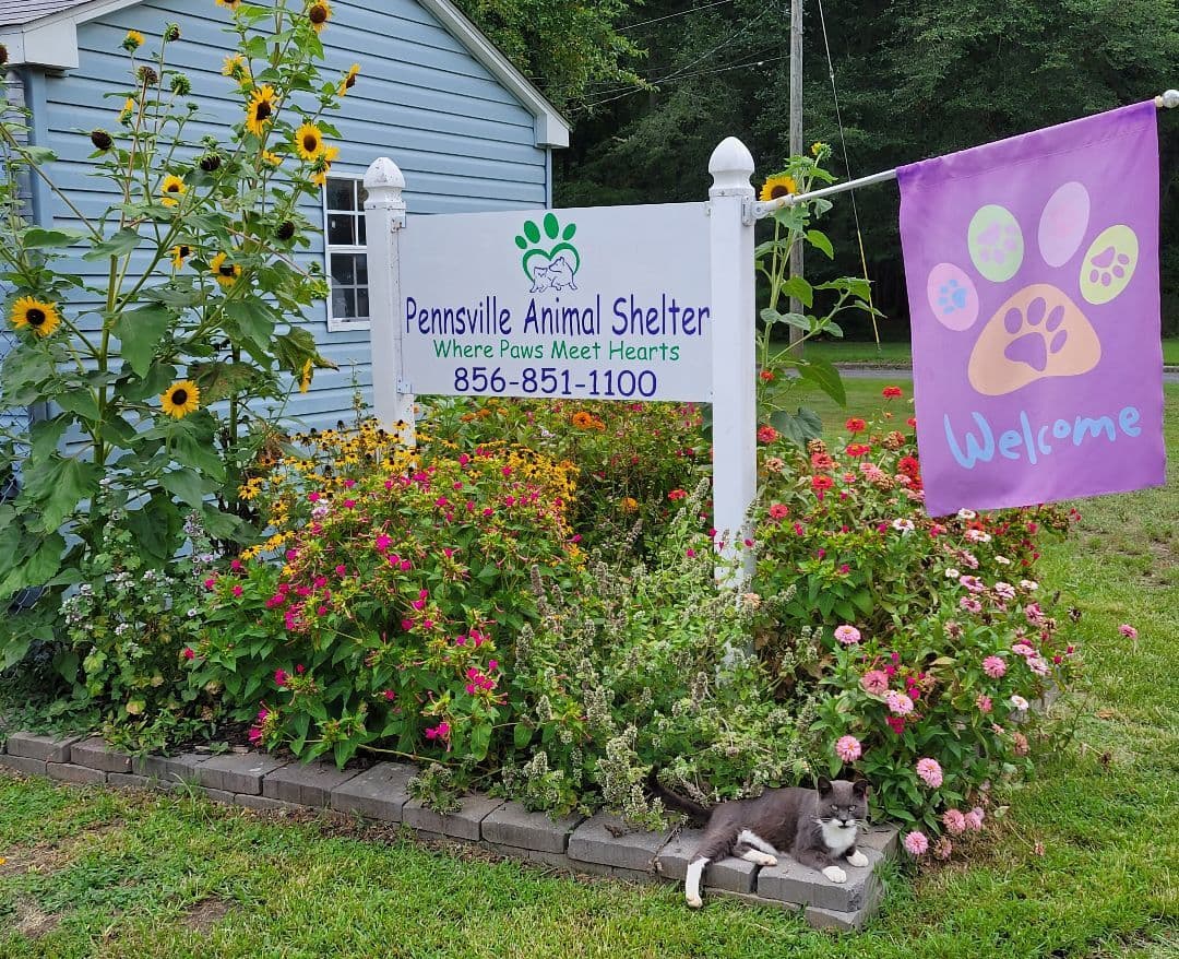 Max breeder image 1