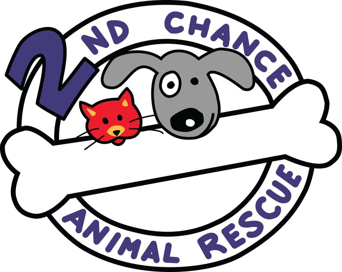 Scooby breeder image 1