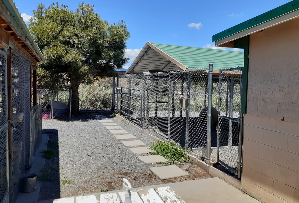 Bruno breeder image 3