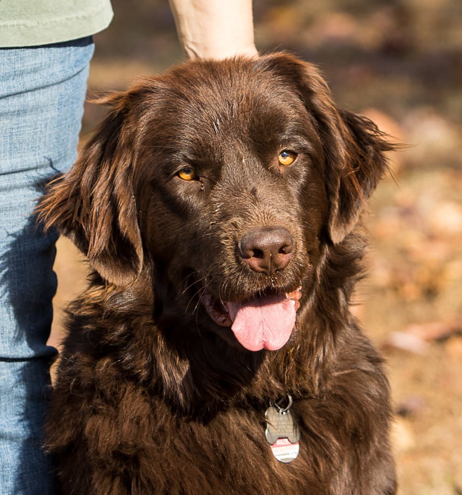 Betty breeder image 2