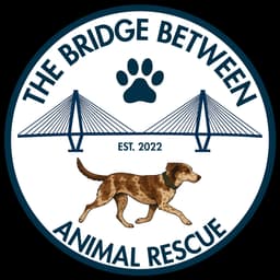 The Bridge Between Animal Rescue