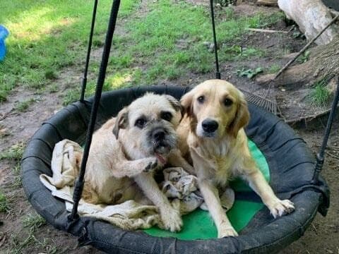 Tramp breeder image 3