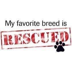 Kelly breeder image 2