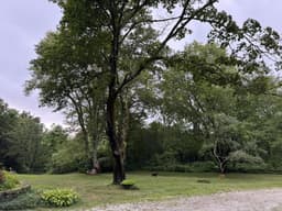 Meade Canine Rescue - Hudson Valley, NY