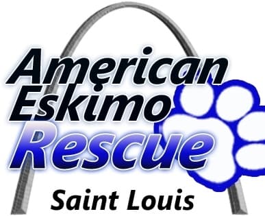 URGENT - Foster Homes are Needed Please foster, save a life breeder image 2