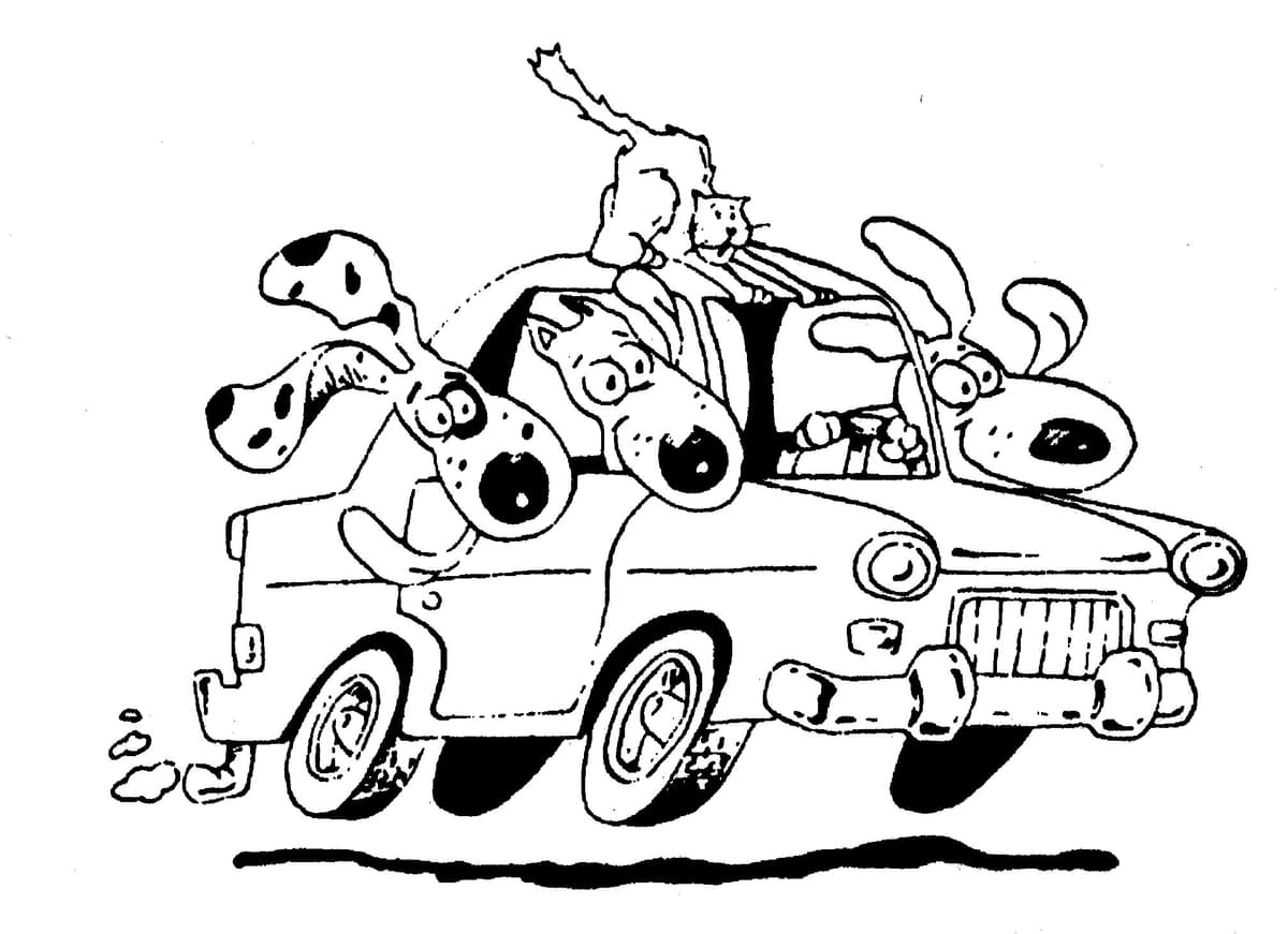 Kipper breeder image 1