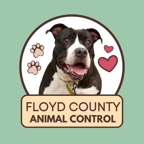 Max breeder image 1