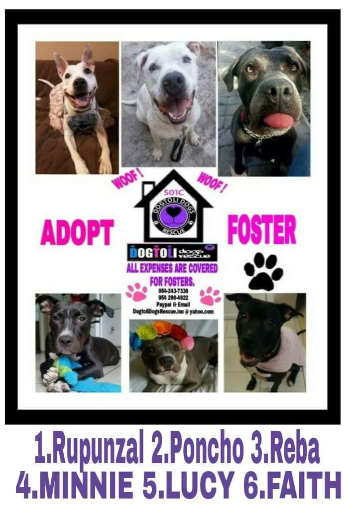 Jax breeder image 1