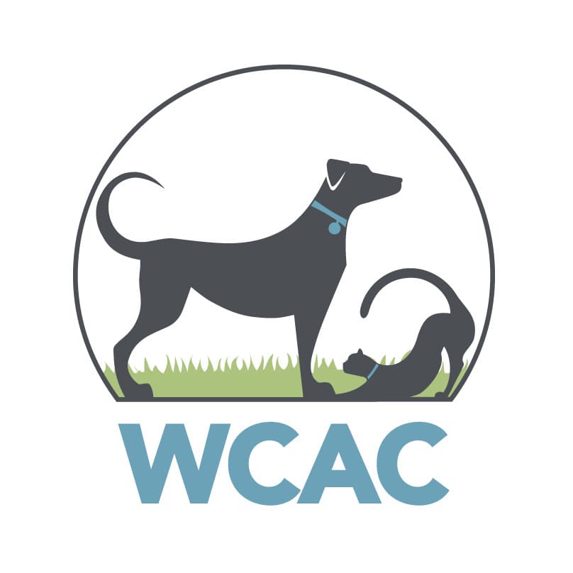Wick breeder image 2