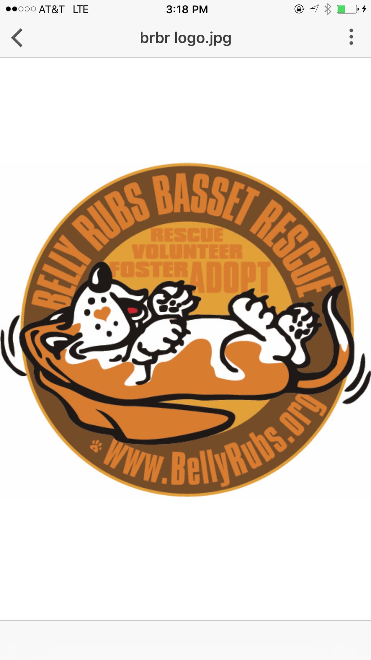 Cletus breeder image 1