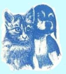 Oreo breeder image 1