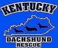 Kentucky Dachshund Rescue