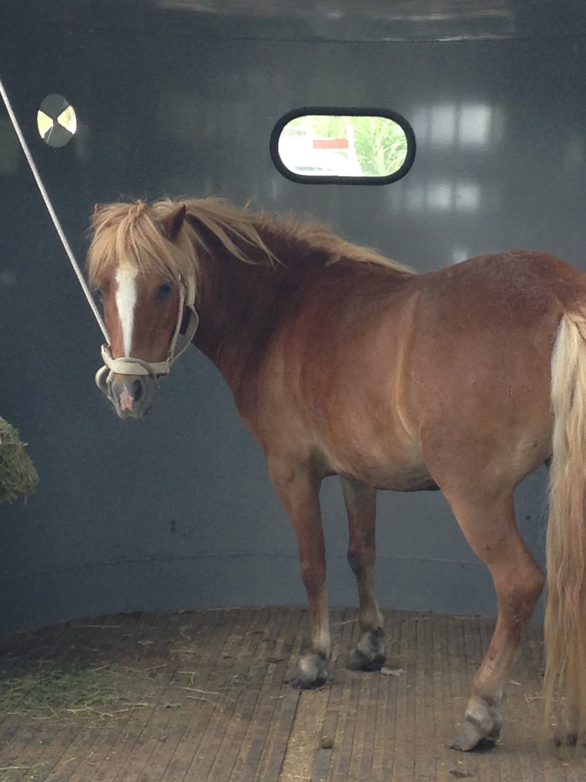 SPANKY breeder image 6