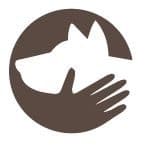Ray ( cat friendly dog friendly kid friendly. ) breeder image 1
