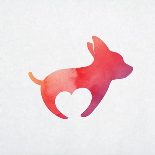 Wynonna breeder image 2