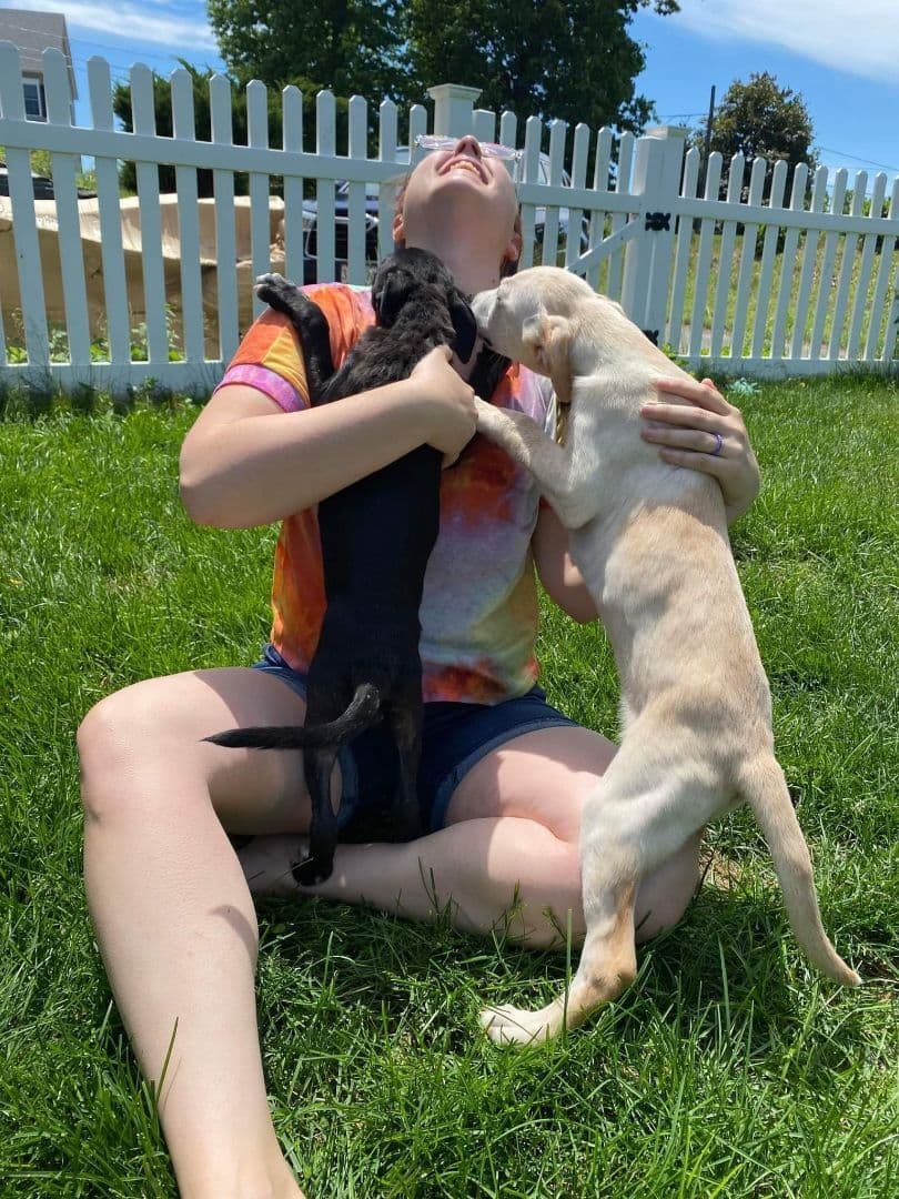 Whitaker (AVAILABLE 7/14) breeder image 2