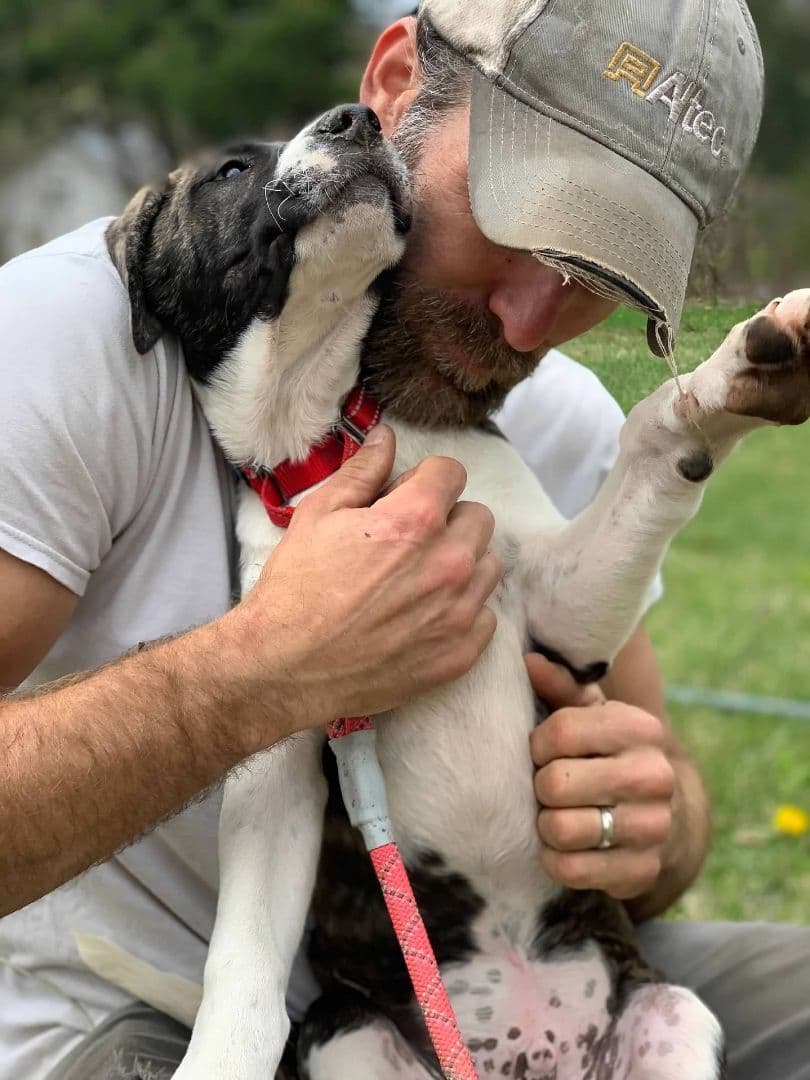 Whitaker (AVAILABLE 7/14) breeder image 3