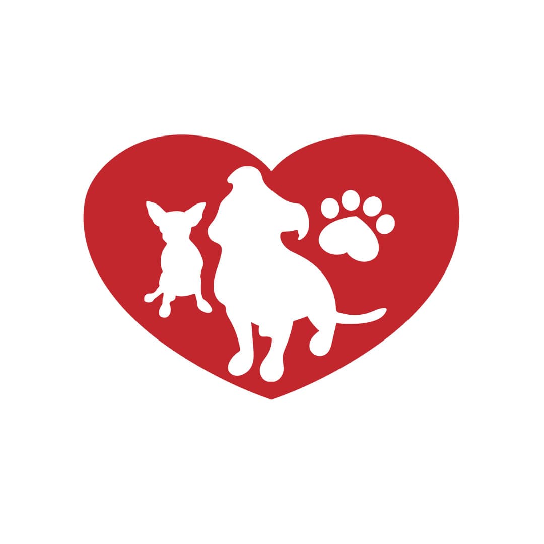 Wally *Courtesy Cupid* breeder image 1