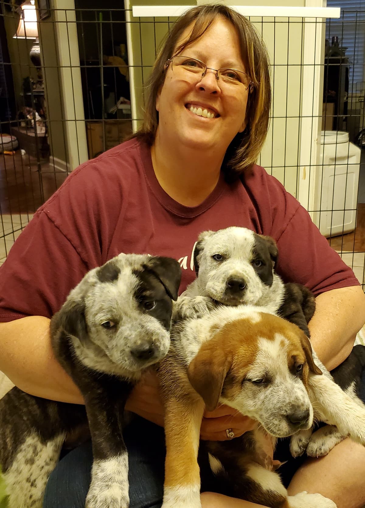 Teddy breeder image 4