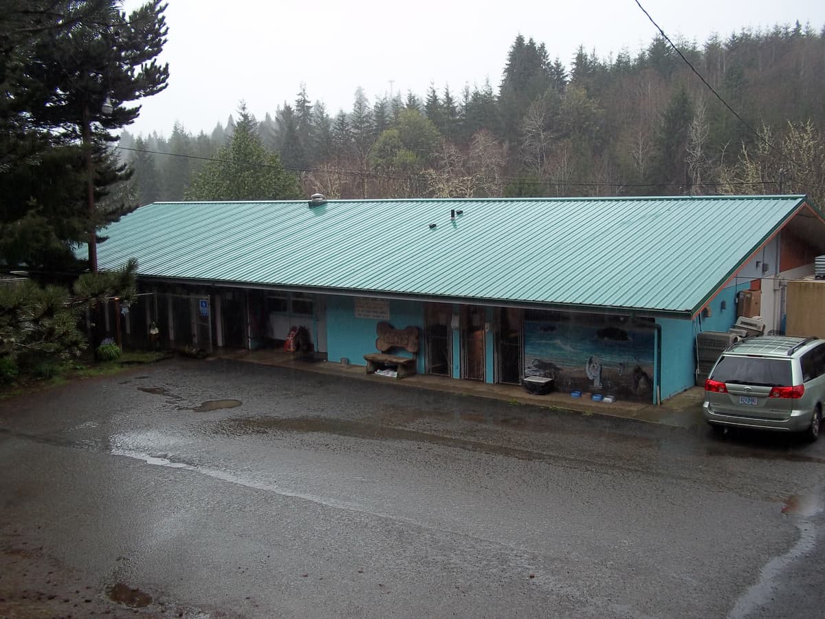 Bear breeder image 5