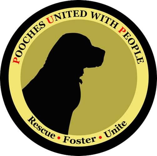 Aunt Trixie needs foster breeder image 1