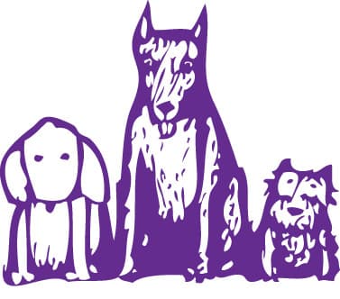 Wonder breeder image 1