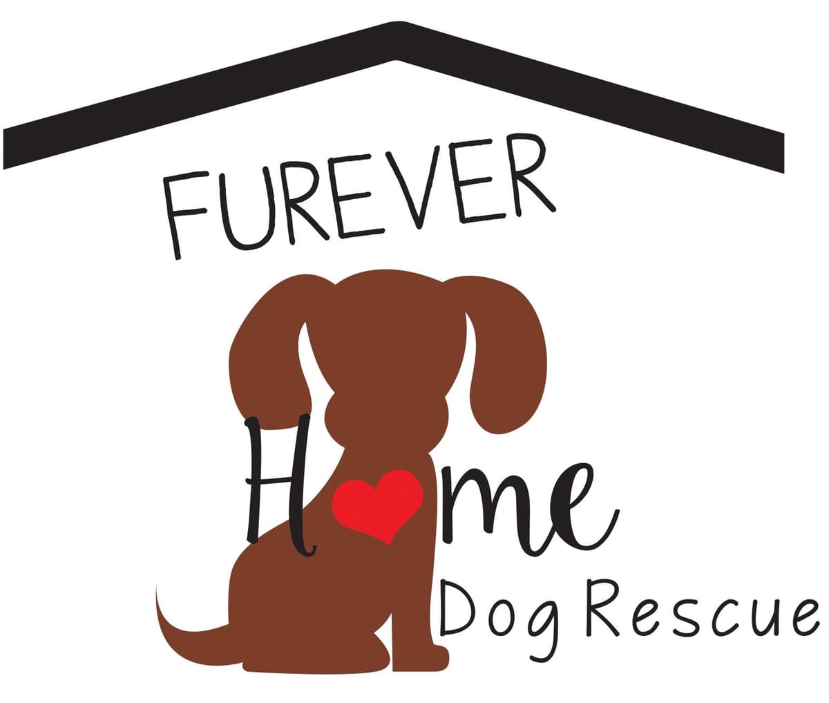 Ranger-Foster or Adopt breeder image 1