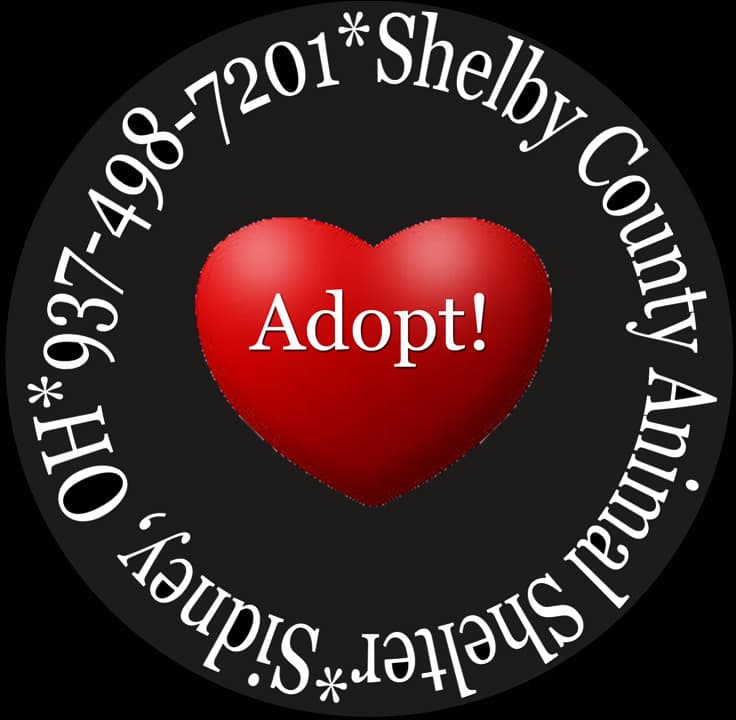 Peppy Yrly 258 breeder image 1