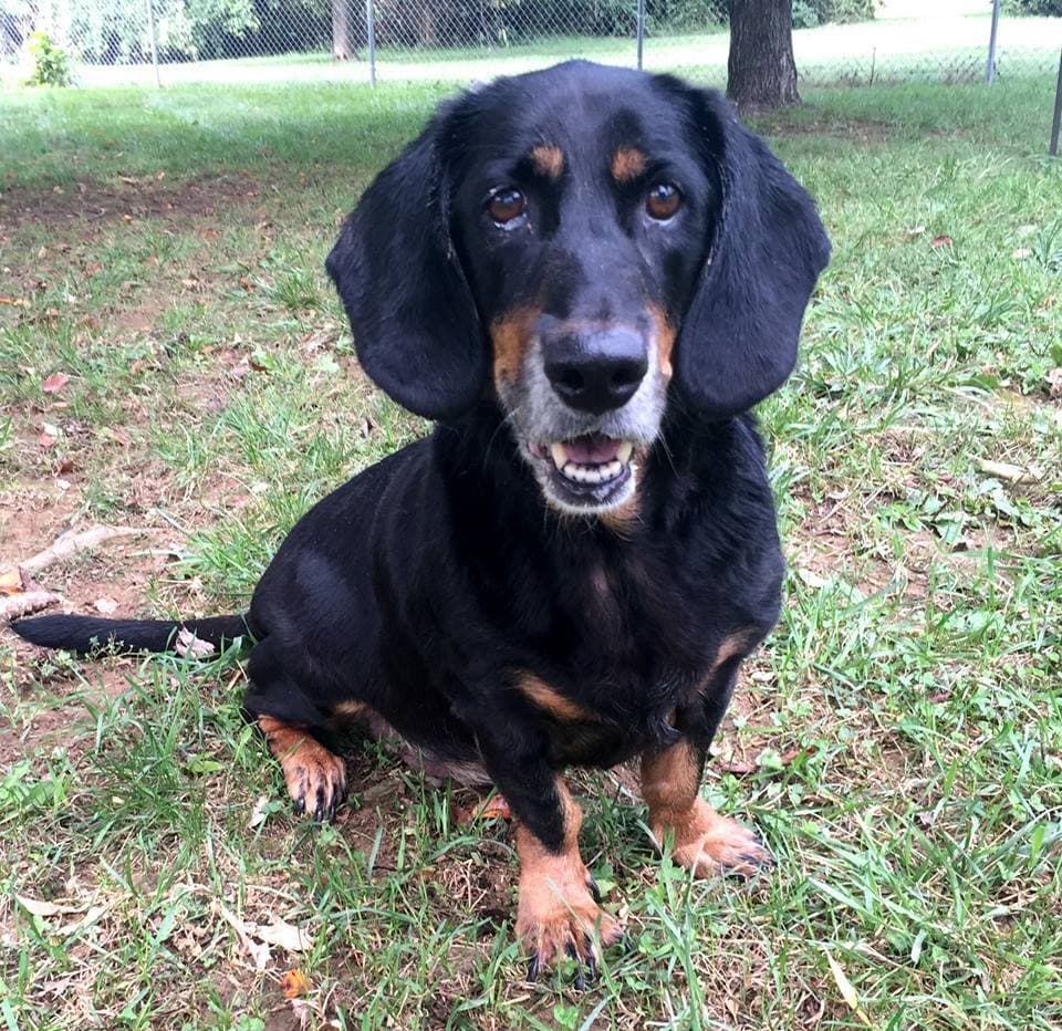 Coco breeder image 2