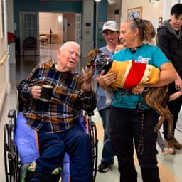 Haven Animal Rescue of Texas