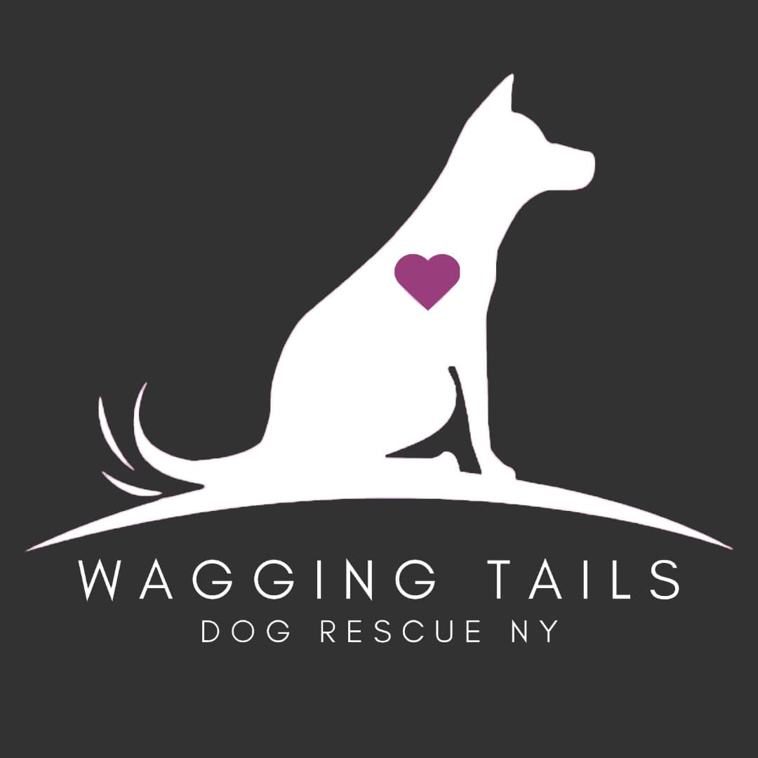 Foster a Dog breeder image 1