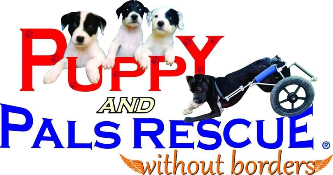 Benny breeder image 1