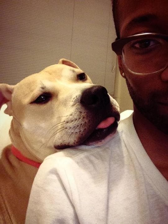 Jingles breeder image 2