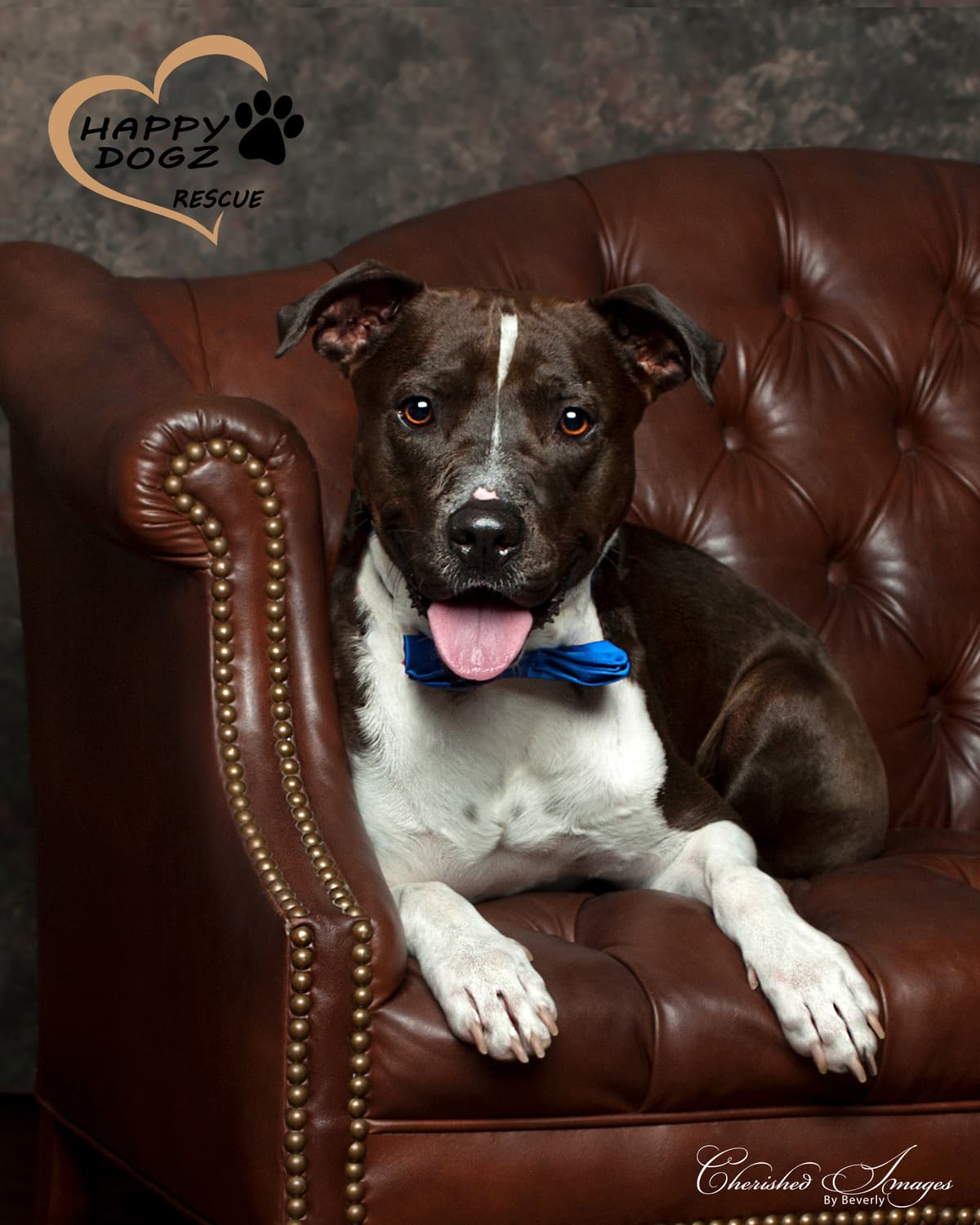 Asher breeder image 3