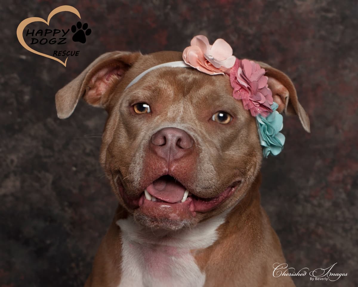 Asher breeder image 4