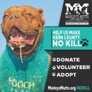 Molly breeder image 1