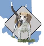 Coco and Yeller breeder image 1