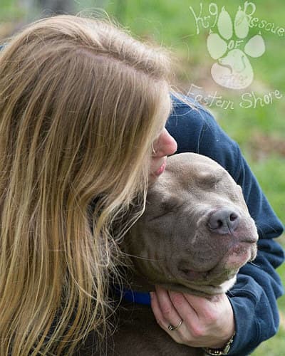 Oskar breeder image 4