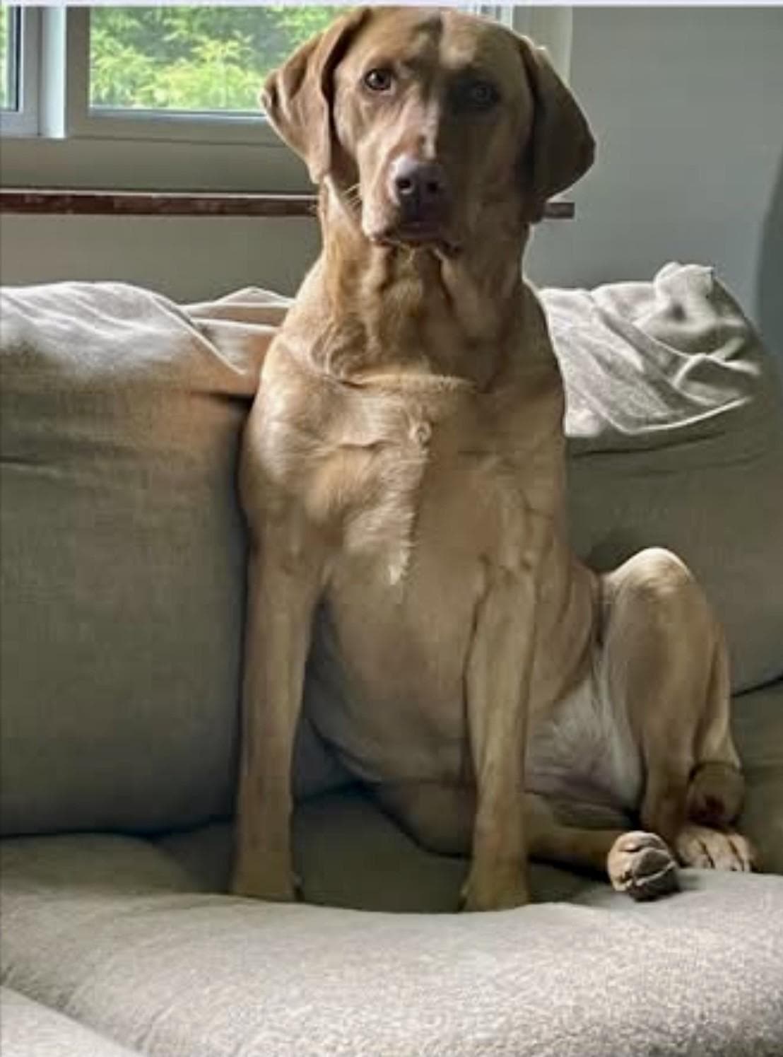 Jasper breeder image 3